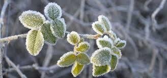 کاهش دما و وزش باد از فردا در برخی مناطق فارس