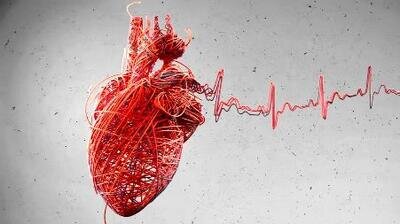 باکتری‌های دهان می‌توانند خطر حمله قلبی را افزایش دهند