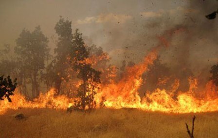 جنگلهای زاگرس همچنان در شعلههای آتش میسوزد جنگلهای زاگرس همچنان در شعلههای آتش میسوزد