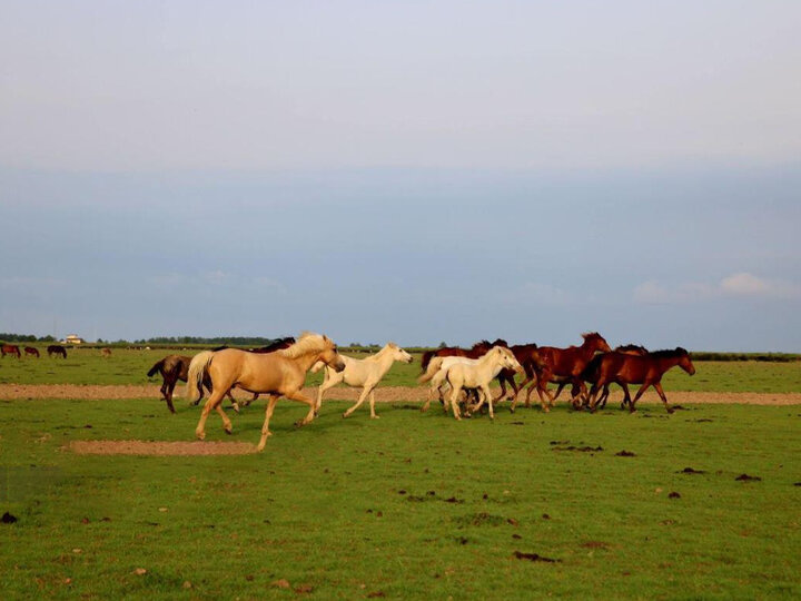 ارتقای فرهنگ حفاظت، کلید سلامت محیط زیست پارک ملی بوجاق