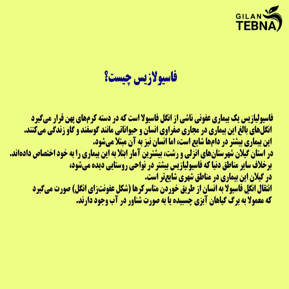 بیماری انگلی شایع در گیلان یا فاسیولازیس