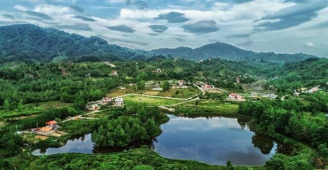 لزوم همکاری دستگاه‌ها برای تسهیل فعالیت سمن‌های محیط زیستی در گیلان