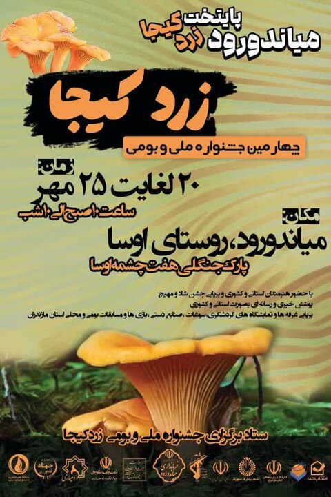 جشنواره زرد کیجا، گامی موثر در زنده نگه داشتن فرهنگ مازندران 