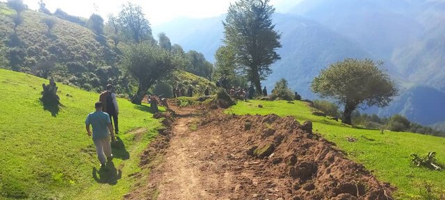 فریاد خاموش جنگل‌های هیرکانی زیر تیغ سودجویان