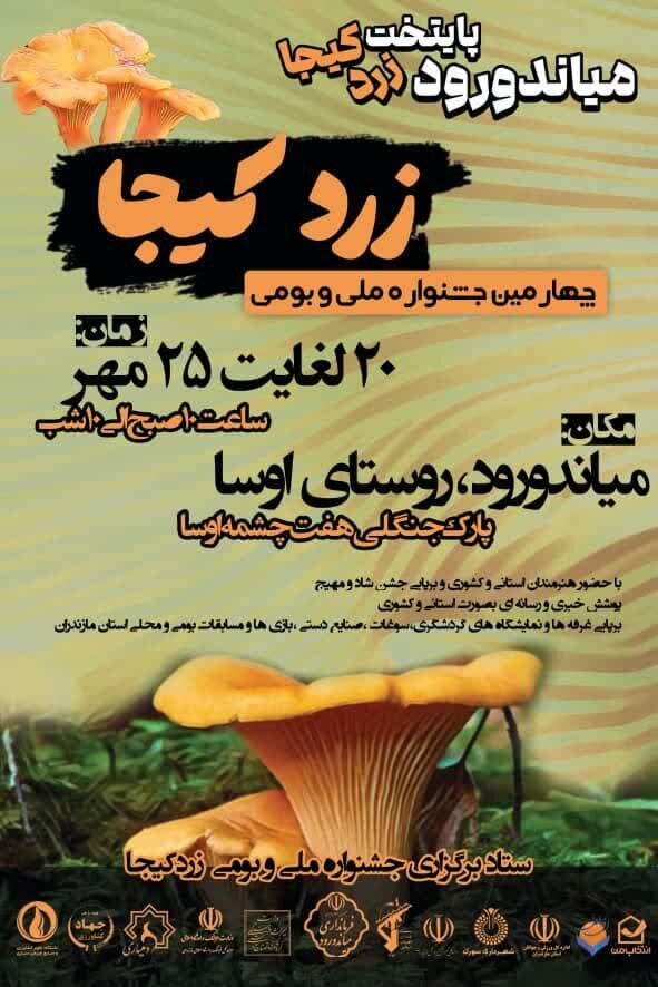 جشنواره زرد کیجا، گامی موثر در زنده نگه داشتن فرهنگ مازندران 