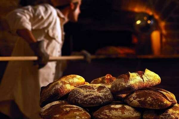 نانوایی متخلف در تالش پلمب شد؛ کیفیت نان زیر ذره‌بین فرماندار