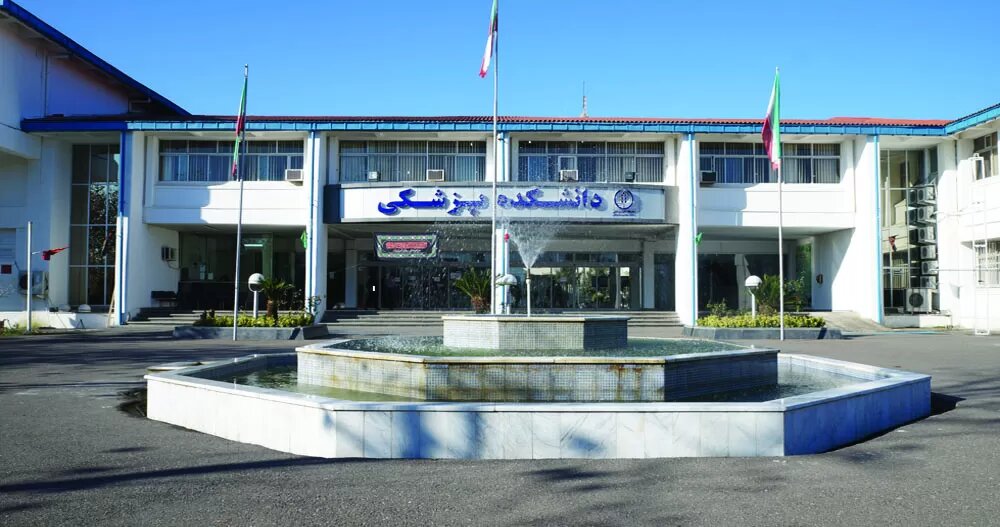 انتخاب هفت پژوهشگر گیلان در فهرست دانشمندان دو درصد برتر جهان