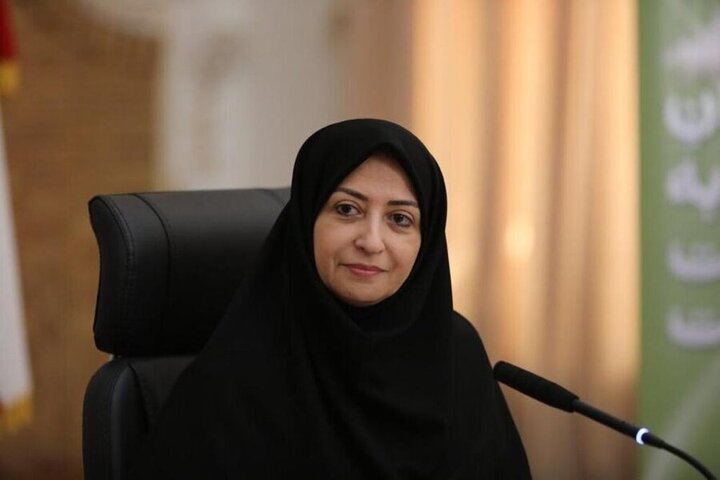 ورود سازمان حفاظت محیط زیست، به پرونده جاده‌کشی در جنگل‌های هیرکانی