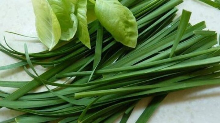 تره، قند بالایی ندارد و برای دیابتی‌ها ممنوع نیست