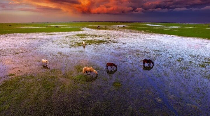 تصرف غیرمجاز اراضی پارک ملی بوجاق متوقف شد