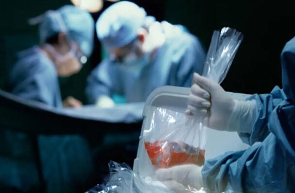 درج نشان اهدای عضو در گواهینامه رانندگی