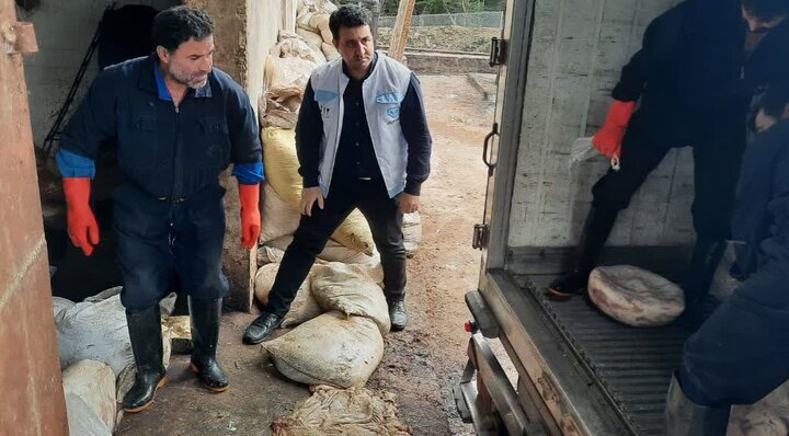 کشف و معدوم‌سازی بیش از چهار تُن فرآورده خام دامی فاسد در شفت