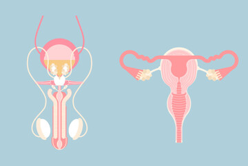 چطور بفهمیم مشکل ناباروری از زن است یا مرد؟
