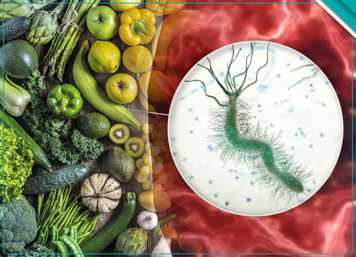 راهنمای کامل رژیم غذایی هلیکوباکتر پیلوری؛ ۱۰ ماده غذایی کلیدی برای مهار عفونت
