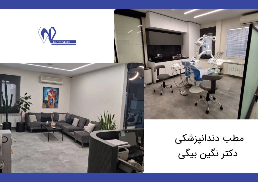 دکتر نگین بیگی