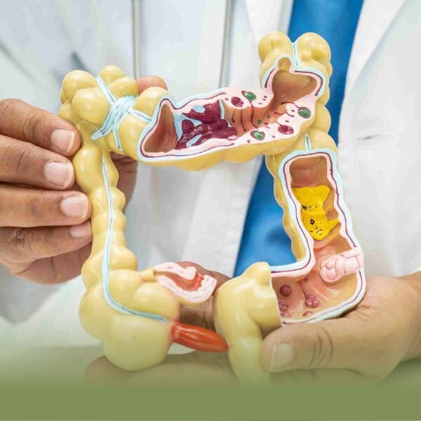 دکتر سعید نجاری دکتر کولونوسکوپی