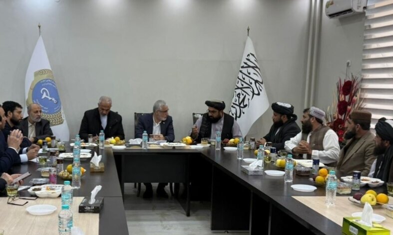 گسترش همکاری‌های دارویی و تجهیزات پزشکی ایران و افغانستان