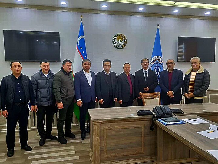 طلای سیاه مازندران به سمت ازبکستان؛ توافقی برای صادرات پایدار و رجیستری ارزان‌تر