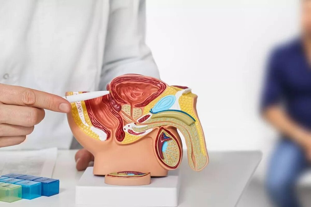 علت ابتلا به پروستات چیست و چرا با افزایش سن شایع تر می شود؟