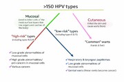 پرخطرترین تیپ‌های ویروس HPV