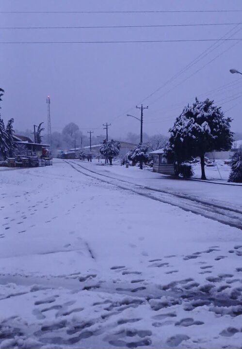 محور سوادکوه بازگشایی شد/ احتمال بازگشایی جاده کیاسر/کندوان  مسدود همچنان است