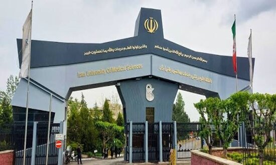 دانشگاه علوم پزشکی ایران برترین دانشگاه کشور در حوزه پزشکی در رتبهبندی شانگهای شد دانشگاه علوم پزشکی ایران برترین دانشگاه کشور در حوزه پزشکی در رتبهبندی شانگهای شد