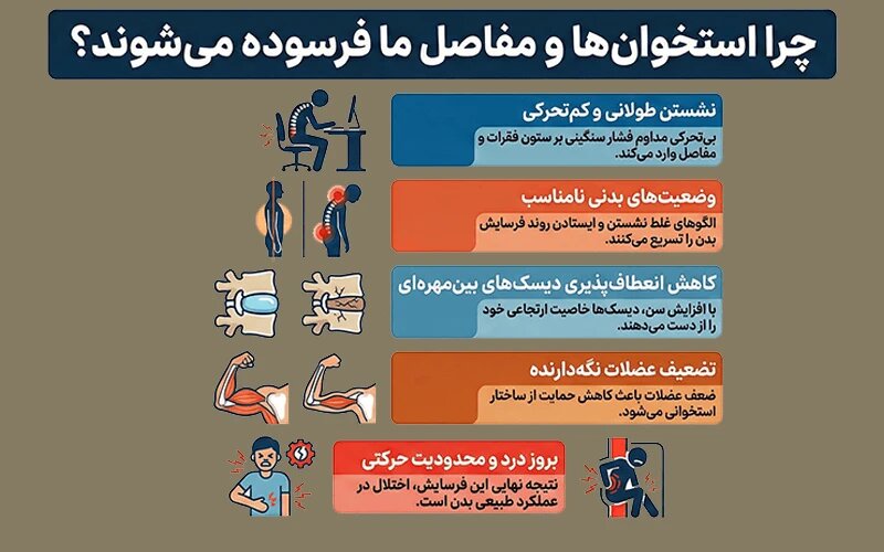 اینفوگرافیک دلایل فرسایش سیستم اسکلتی