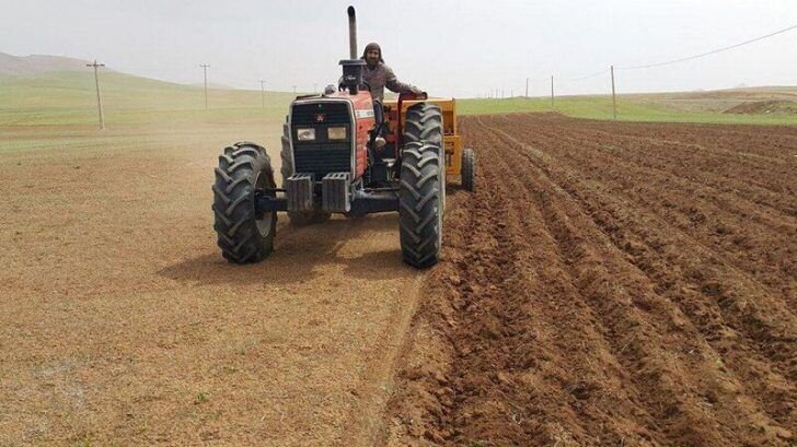 اختصاص ۶۸۱ هزار هکتار از اراضی کردستان به کشت گندم اختصاص ۶۸۱ هزار هکتار از اراضی کردستان به کشت گندم