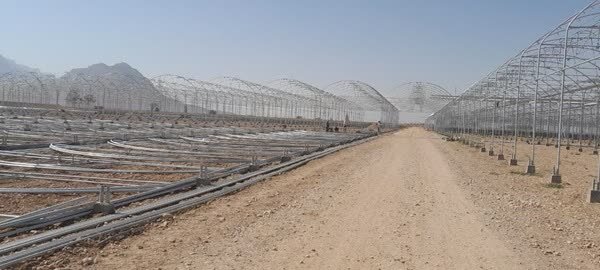 جهش ساخت گلخانه‌ در فارس