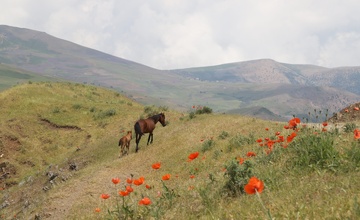 ییلاقات سوباتان