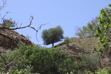 روستای برغان کرج