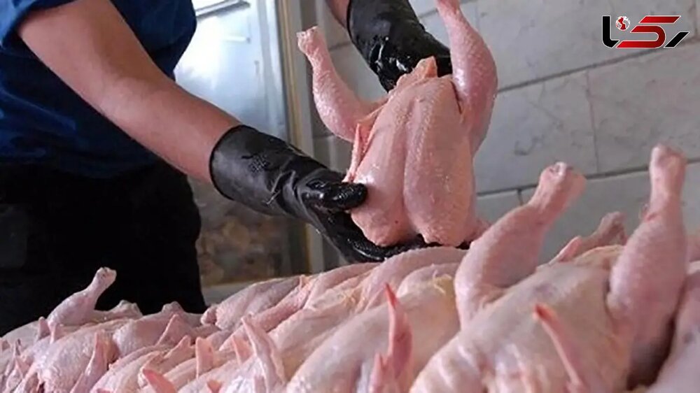 آغاز توزیع گسترده مرغ منجمد برای تنظیم بازار در کردستان آغاز توزیع گسترده مرغ منجمد برای تنظیم بازار در کردستان