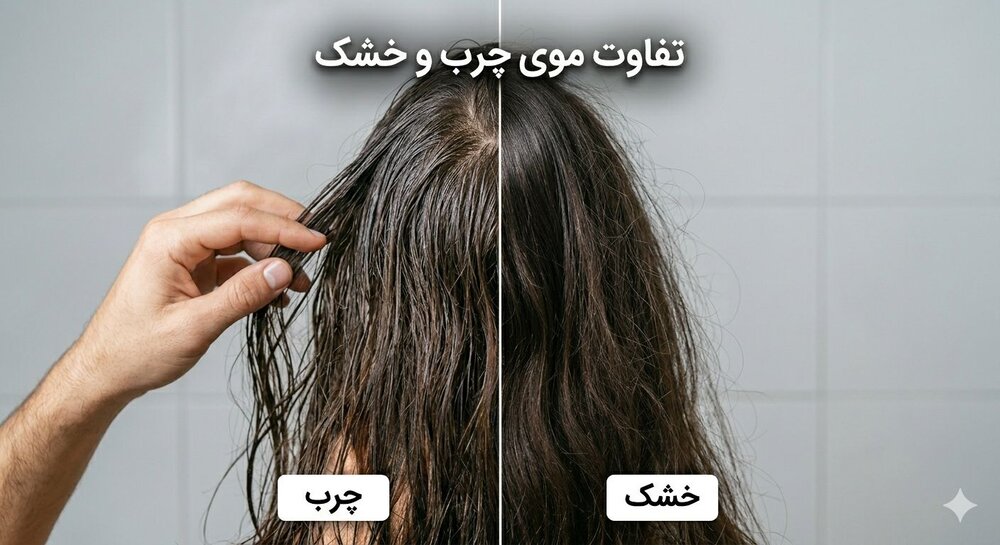 تفاوت نوع موهای خشک،نرمال و چرب