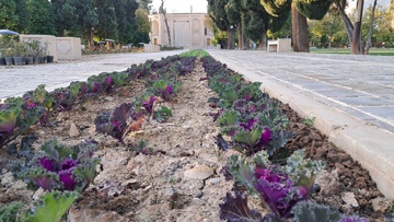 باغ جهان نما شیراز