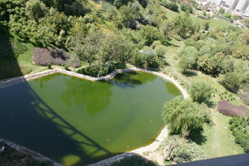 پل طبیعت تهران