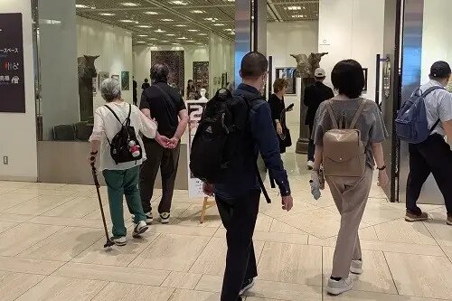 «هنر» فاصله‌ها را در می‌نوردد/ درخشش هنر ایرانی در سرزمین خورشید