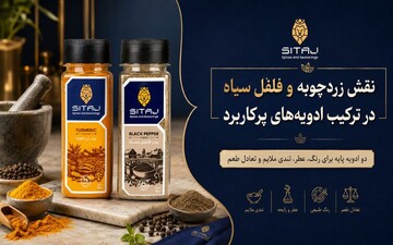 نقش زردچوبه و فلفل سیاه در ترکیب ادویه‌های پرکاربرد