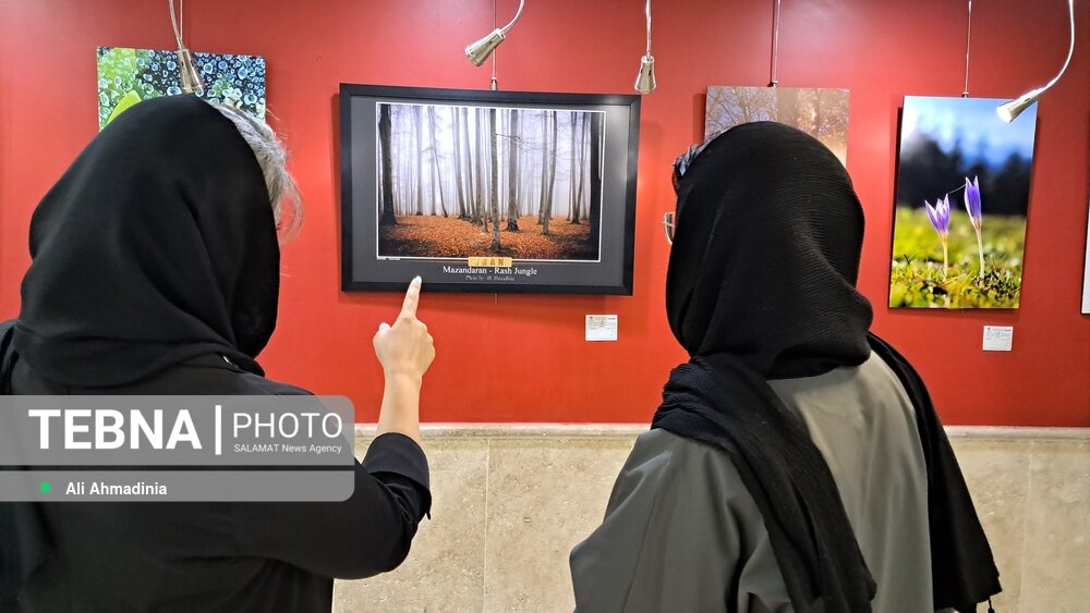 نمایشگاه‌های عکاسی؛ پلی میان عکاس، مخاطب و حافظه تصویری جامعه