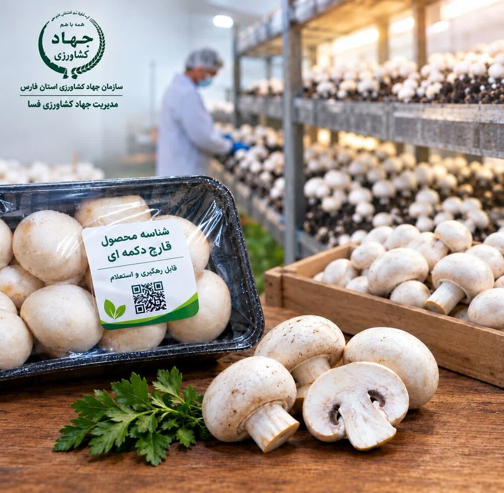 صدور نخستین شناسنامه محصول قارچ در شهرستان فسا