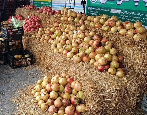  یازدهمین جشنواره انار بهشهر تا ۲ آبان ادامه دارد