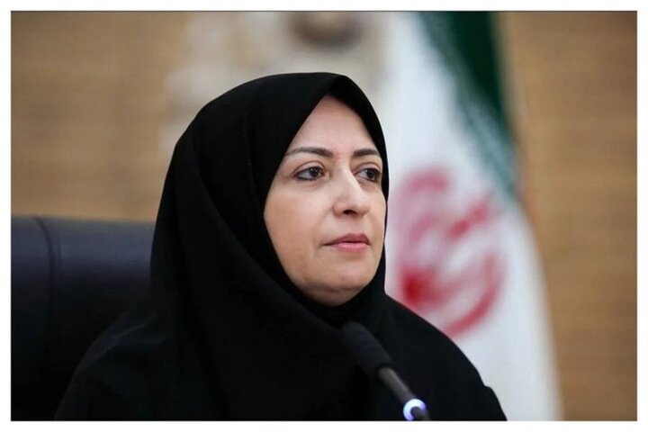 تأکید رئیس سازمان محیط زیست بر کنترل آلاینده‌ها در مبدأ تولید