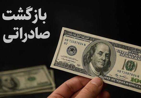 بخش خصوصی زنجان خواستار بازنگری در ضوابط بازگشت ارز صادراتی شد