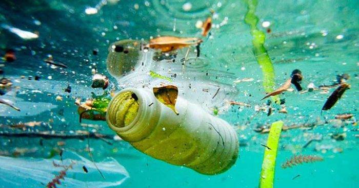 پلاستیک در اقیانوس‌ها، تولید اکسیژن را نابود می‌کنند