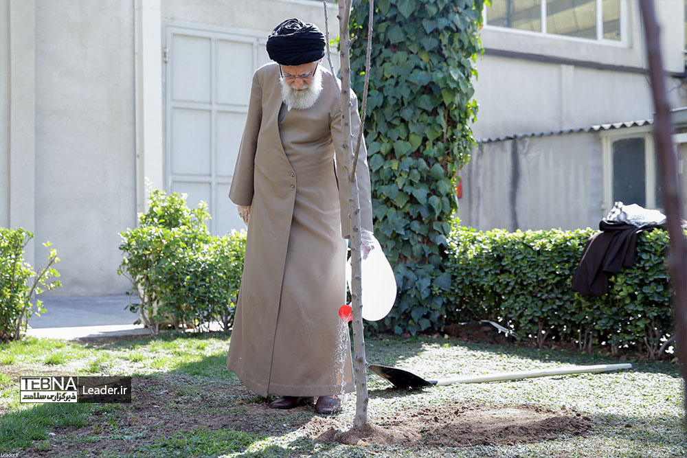 کاشت دو اصله نهال میوه توسط رهبر انقلاب اسلامی