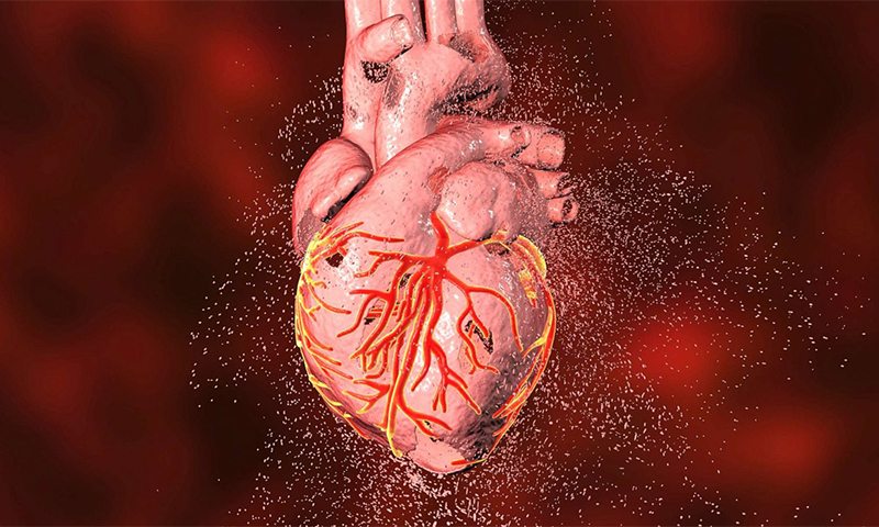 ویروس کرونا و اثرات آن بر سلامت قلب و عروق