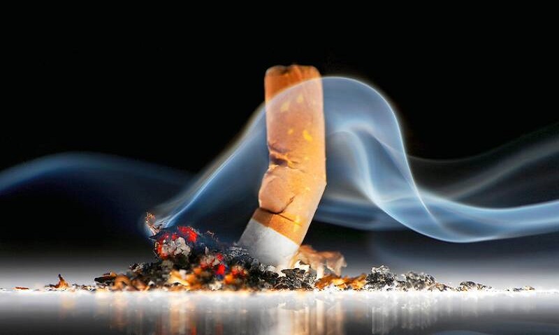 خطرات دود سیگار برای نسل سوم نیز آسیب زننده است خطرات دود سیگار برای نسل سوم نیز آسیب زننده است