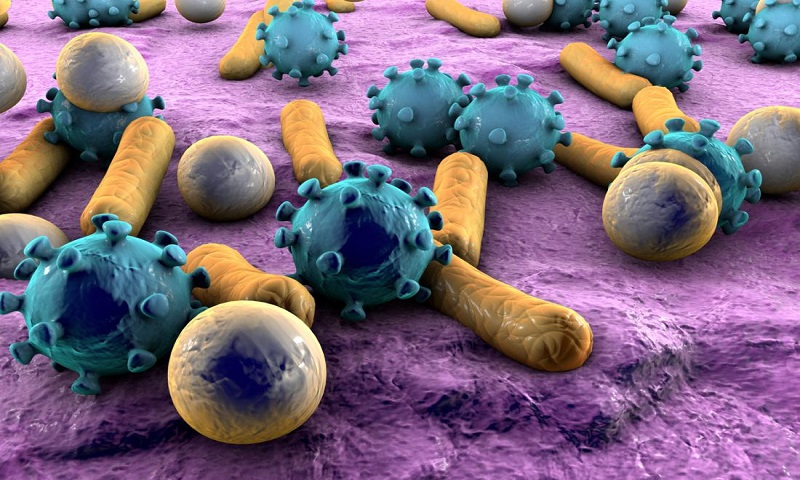 آیا میکروب‌ ها در سلامت انسان‌ها نقش دارند