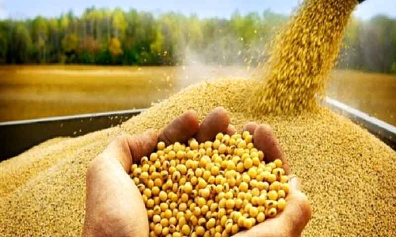آمادگی وزارت جهاد کشاورزی برای کمک به تولید بذر در دانشگاه آزاد