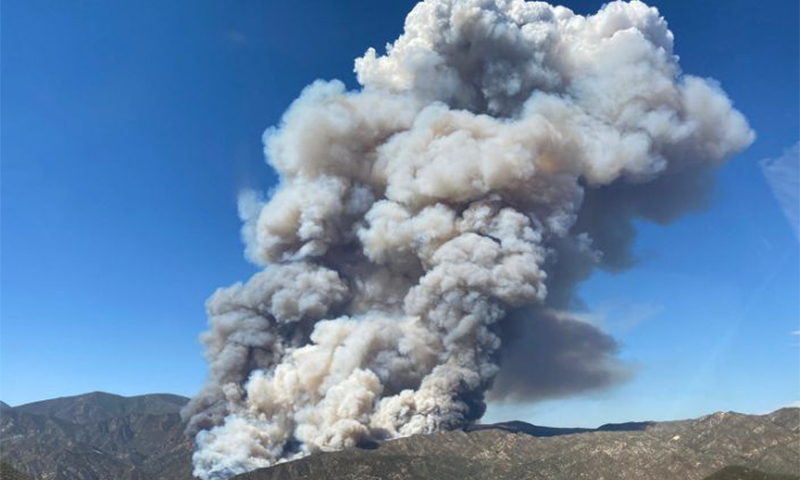 ده هزار هکتار از جنگل های کالیفرنیا در آتش سوخت!
