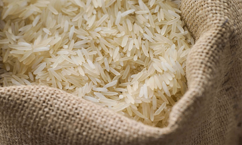 برنج ارزان می‌شود